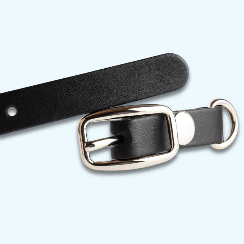 GuardianStone™ Dog Collar – Anti-Tick Shield with Gemstone Healing