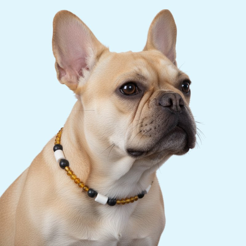 GuardianStone™ Dog Collar – Anti-Tick Shield with Gemstone Healing