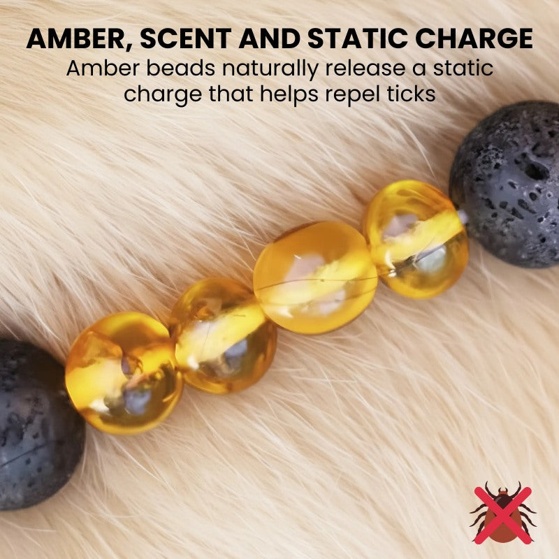 GuardianStone™ Dog Collar – Anti-Tick Shield with Gemstone Healing
