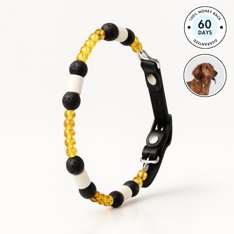 GuardianStone™ Dog Collar – Anti-Tick Shield with Gemstone Healing
