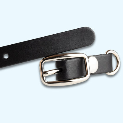 GuardianStone™ Dog Collar – Anti-Tick Shield with Gemstone Healing