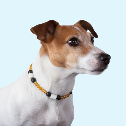 GuardianStone™ Dog Collar – Anti-Tick Shield with Gemstone Healing